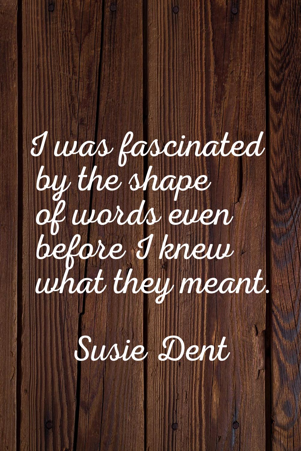 I was fascinated by the shape of words even before I knew what they meant.