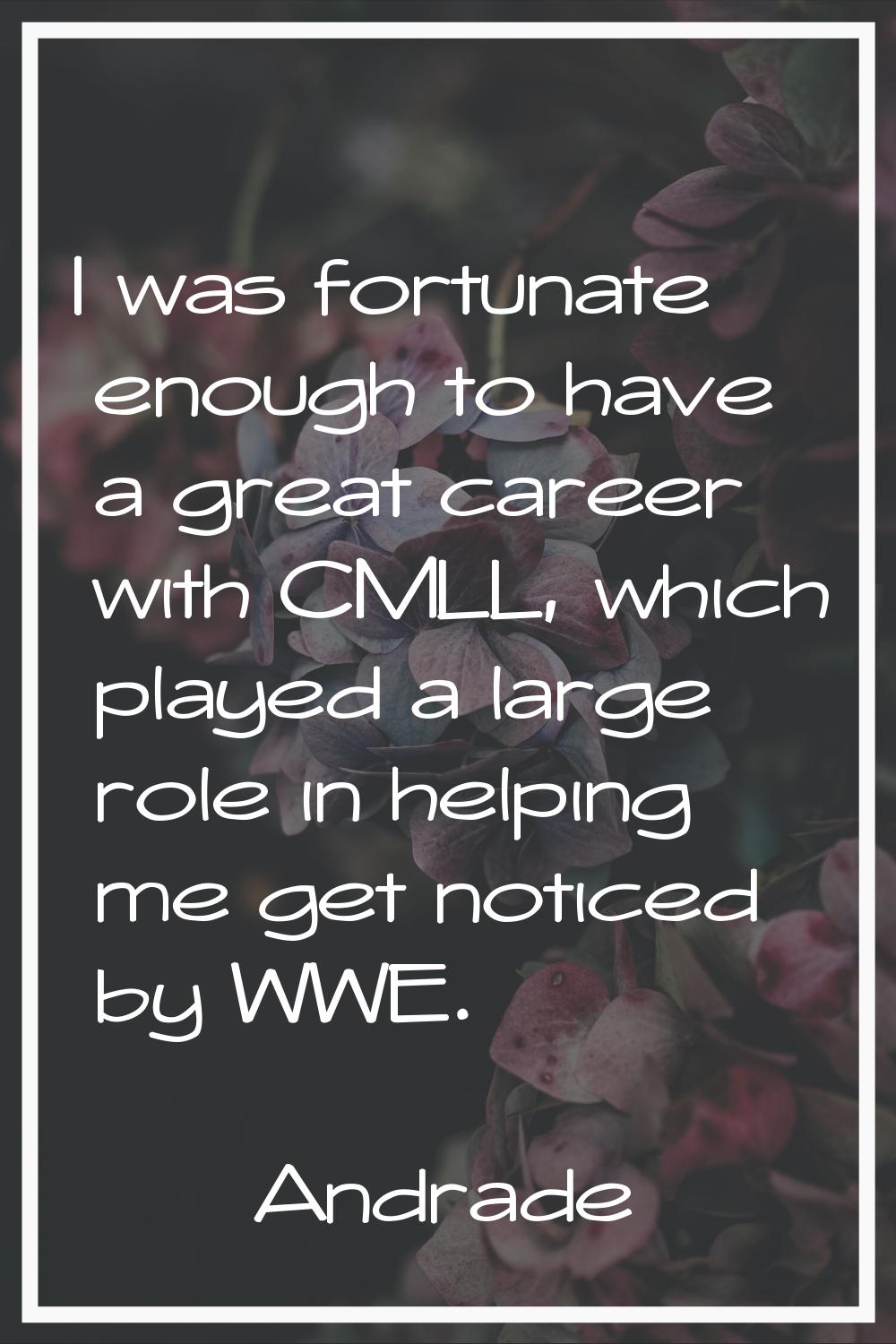 I was fortunate enough to have a great career with CMLL, which played a large role in helping me ge