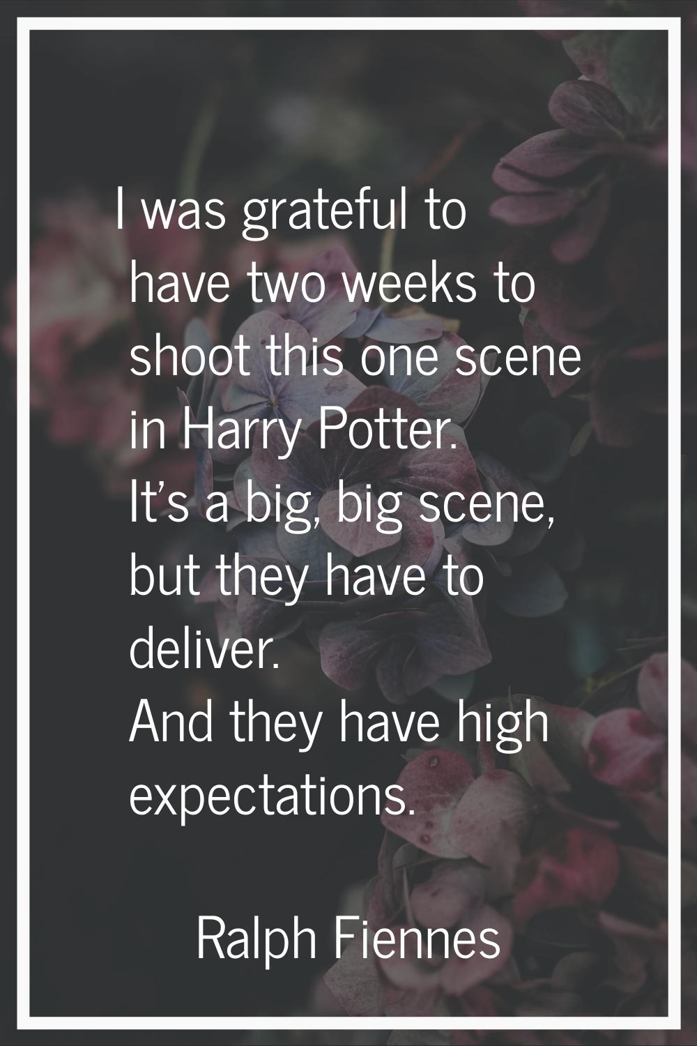 I was grateful to have two weeks to shoot this one scene in Harry Potter. It's a big, big scene, bu