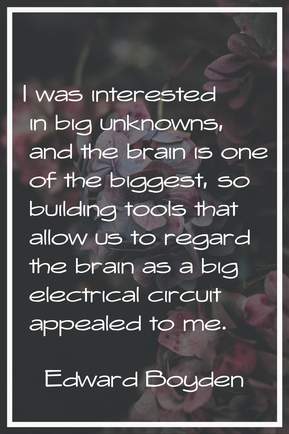 I was interested in big unknowns, and the brain is one of the biggest, so building tools that allow