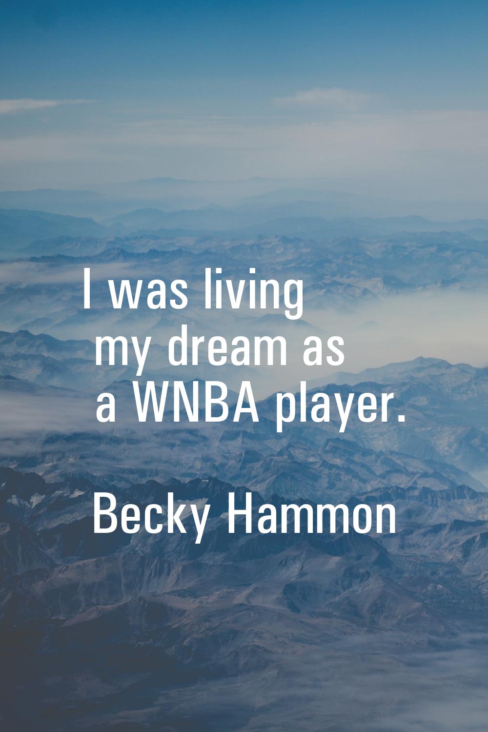 I was living my dream as a WNBA player.