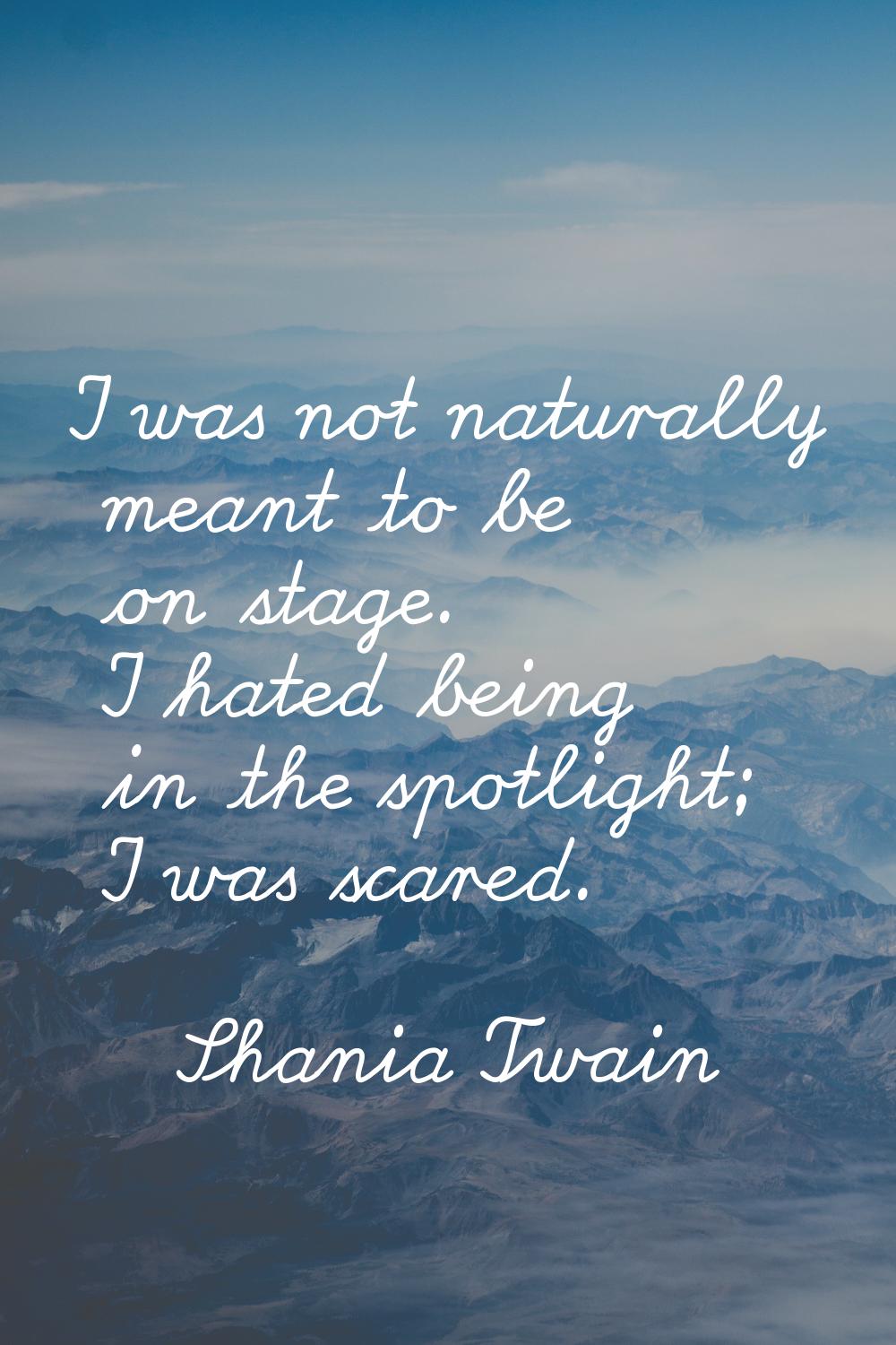 I was not naturally meant to be on stage. I hated being in the spotlight; I was scared.