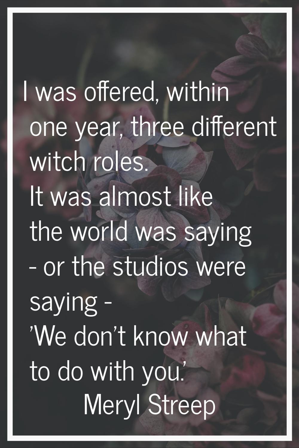 I was offered, within one year, three different witch roles. It was almost like the world was sayin