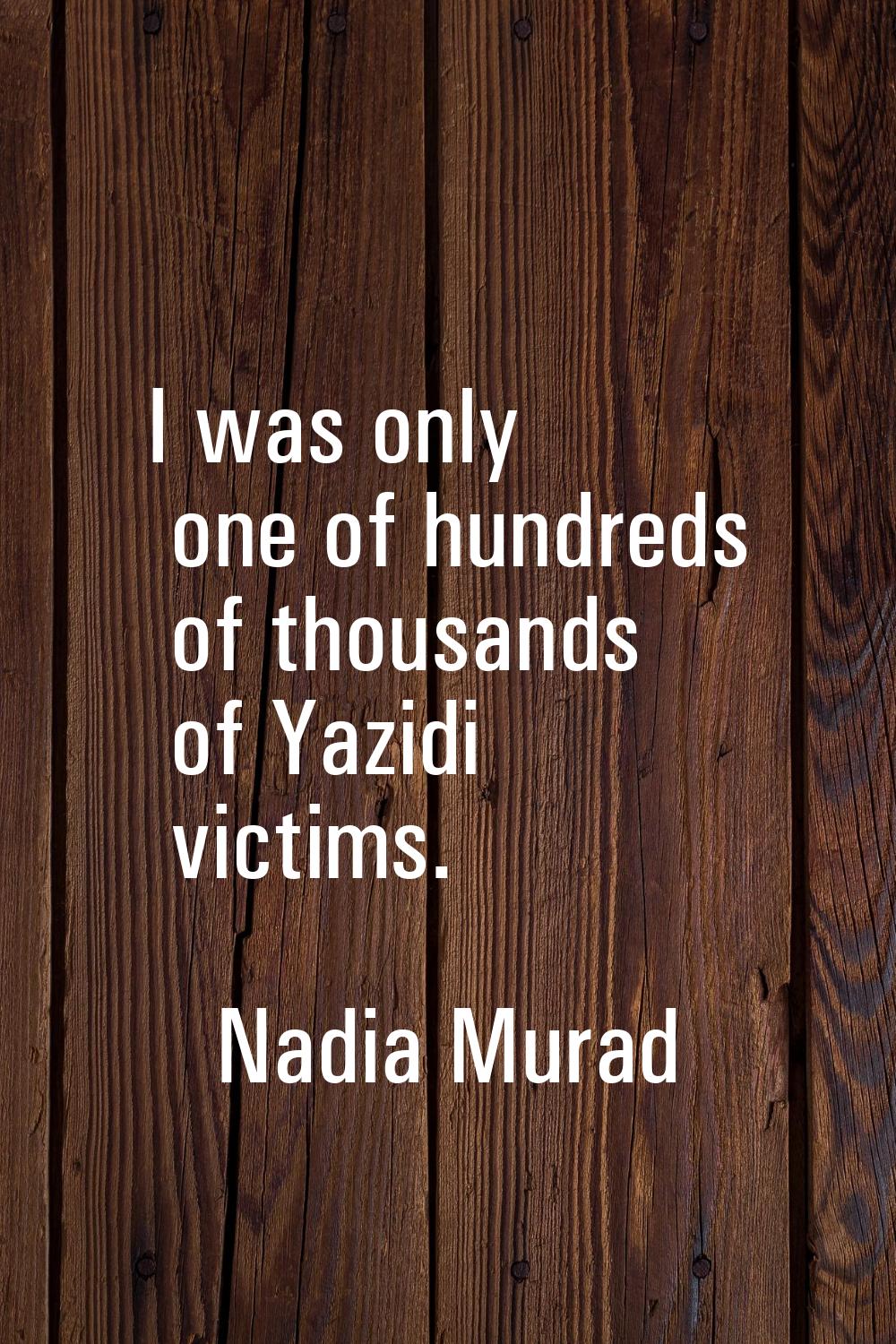 I was only one of hundreds of thousands of Yazidi victims.