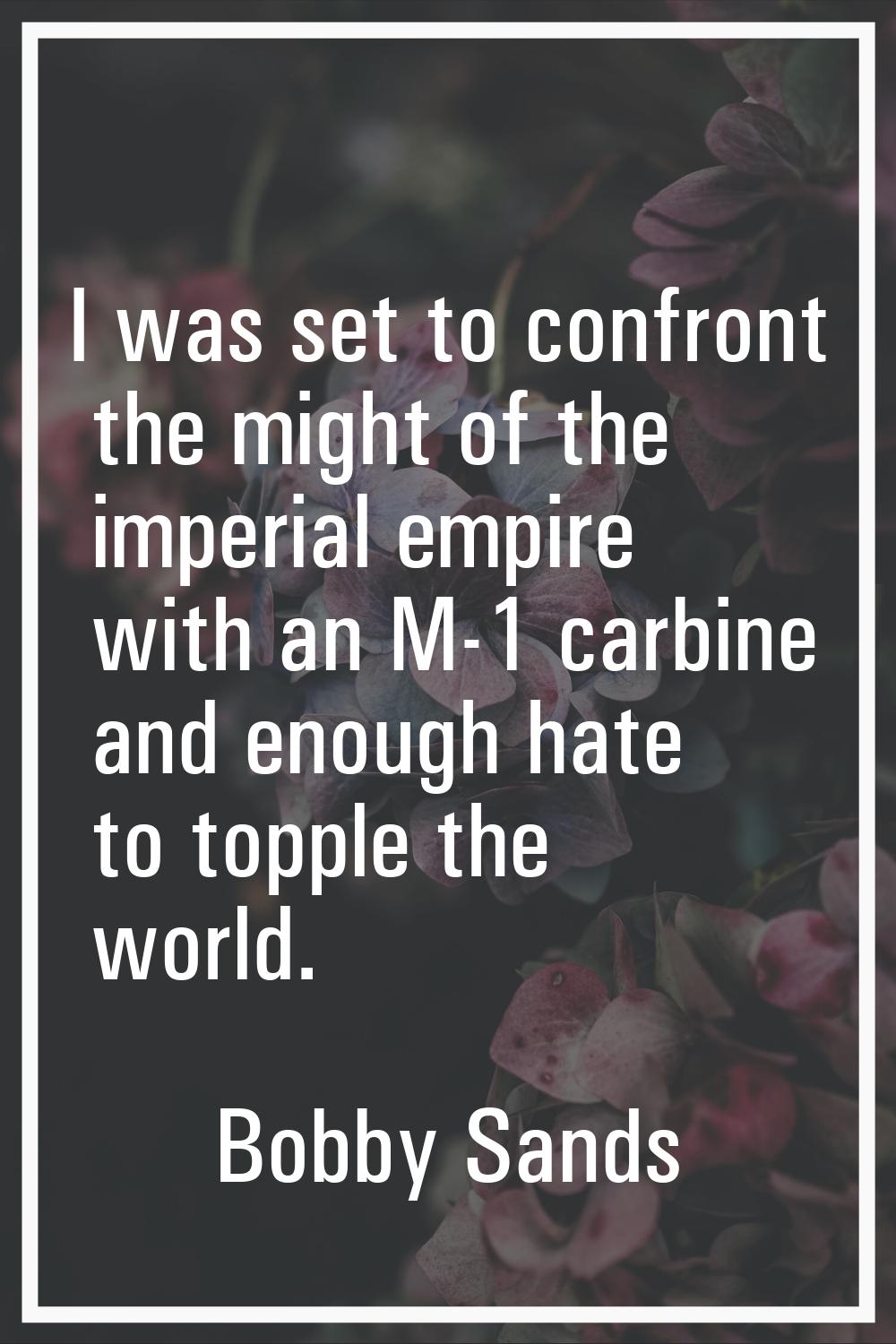 I was set to confront the might of the imperial empire with an M-1 carbine and enough hate to toppl