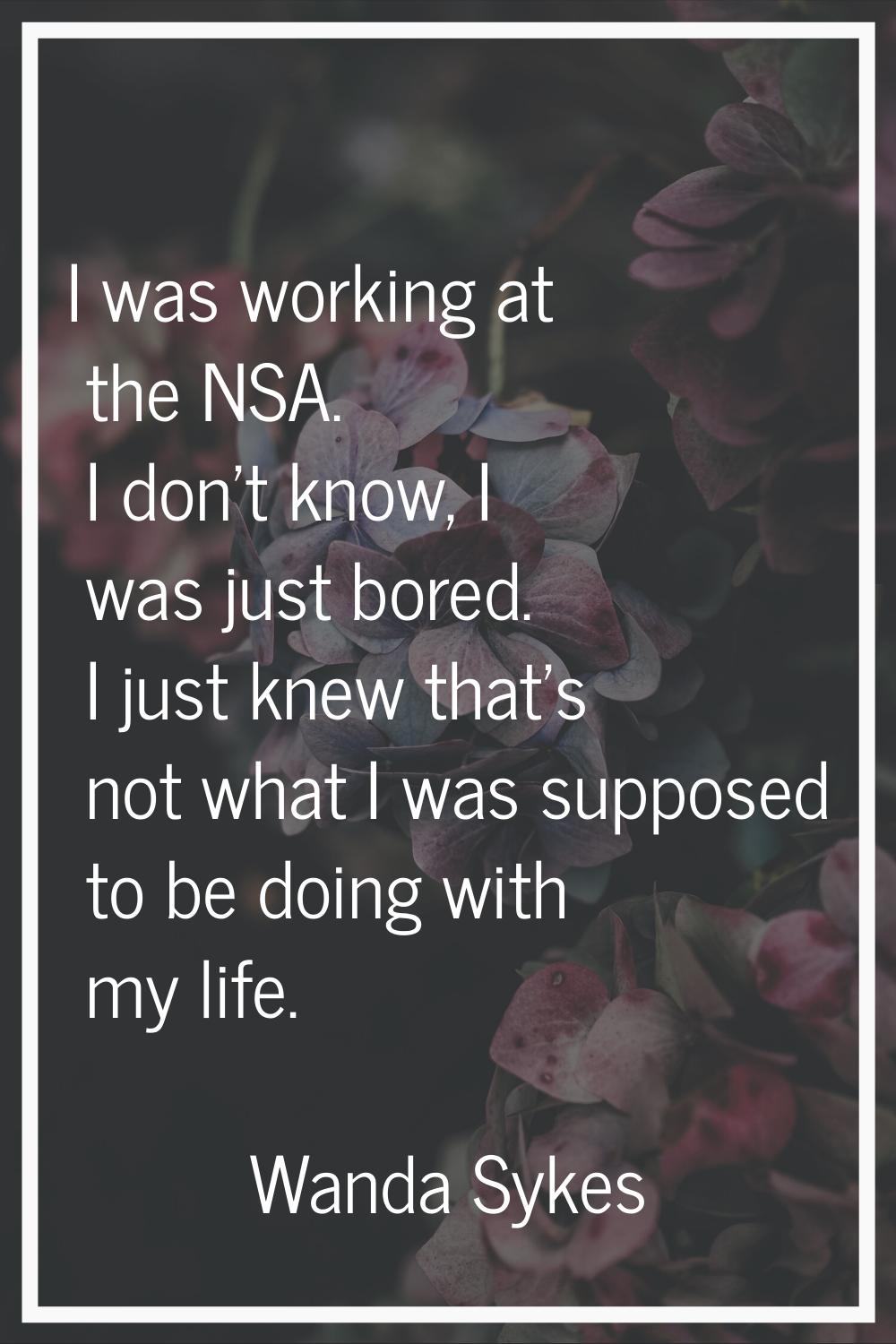 I was working at the NSA. I don't know, I was just bored. I just knew that's not what I was suppose