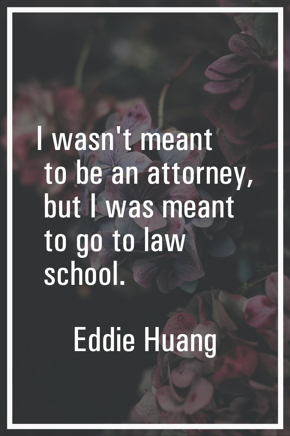 I wasn't meant to be an attorney, but I was meant to go to law school.