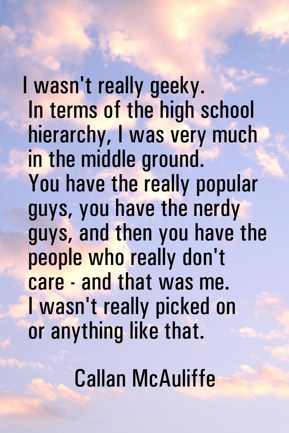 I wasn't really geeky. In terms of the high school hierarchy, I was very much in the middle ground.