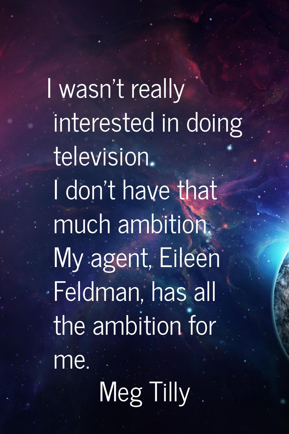 I wasn't really interested in doing television. I don't have that much ambition. My agent, Eileen F