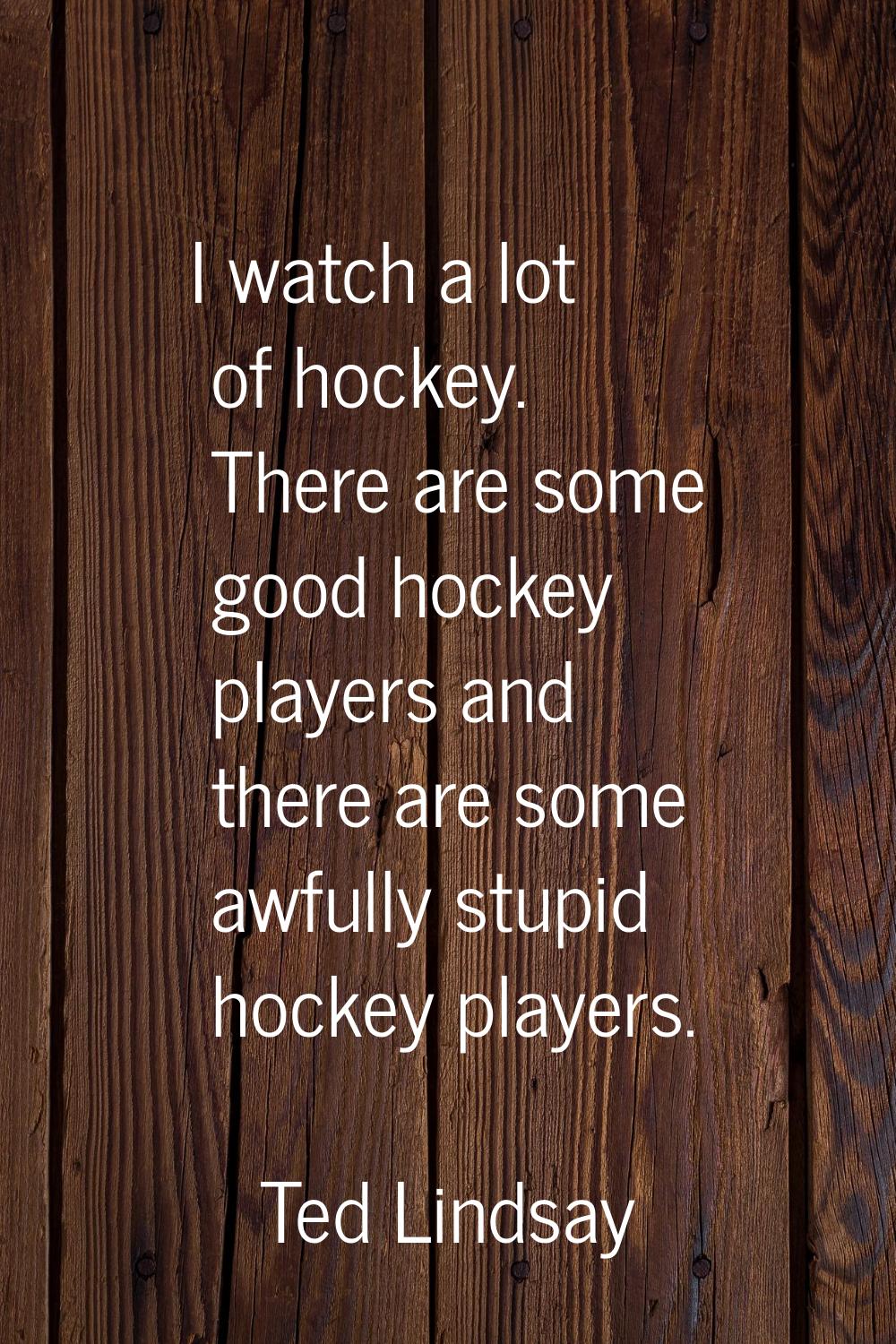 I watch a lot of hockey. There are some good hockey players and there are some awfully stupid hocke