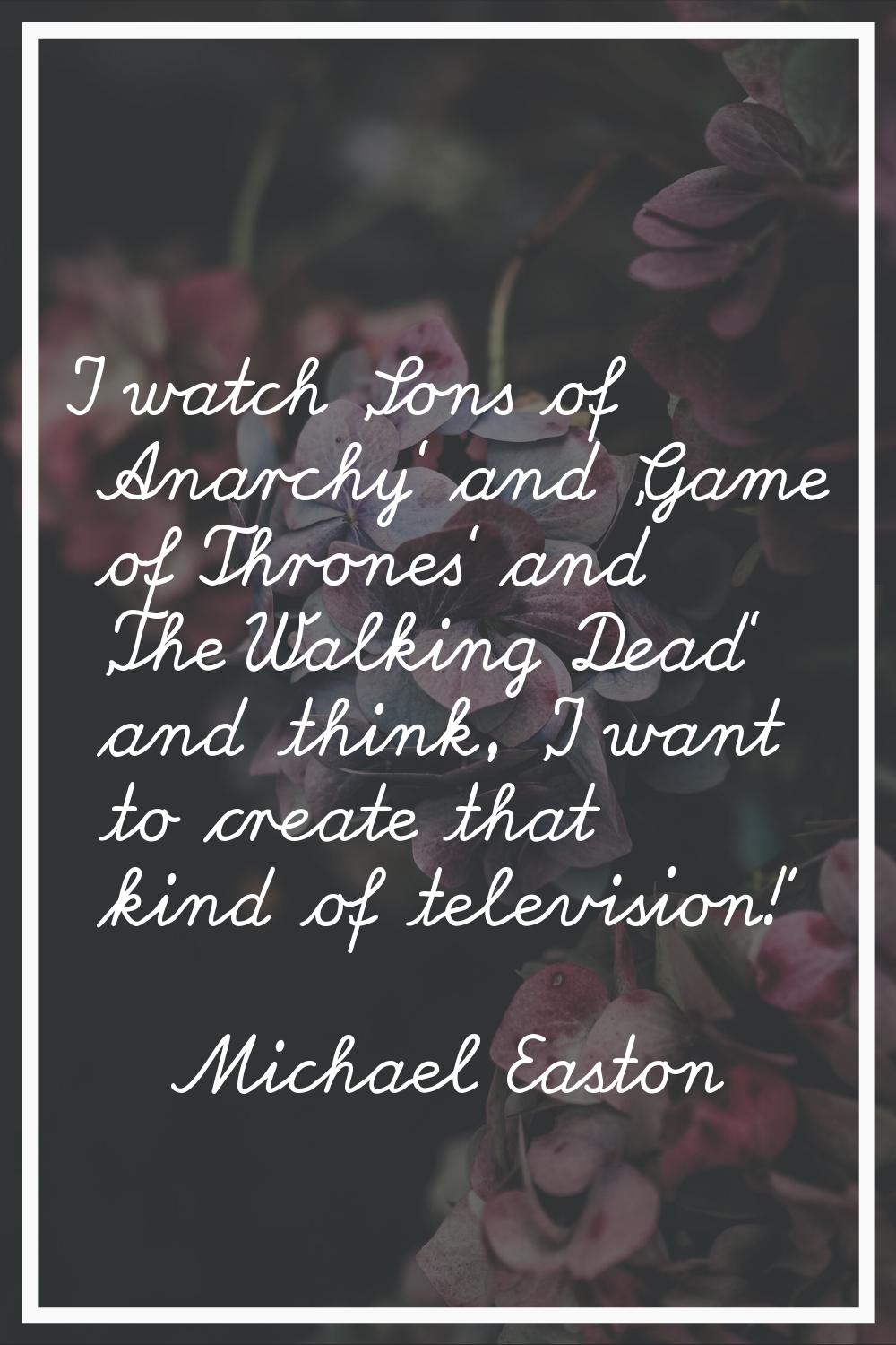 I watch 'Sons of Anarchy' and 'Game of Thrones' and 'The Walking Dead' and think, 'I want to create