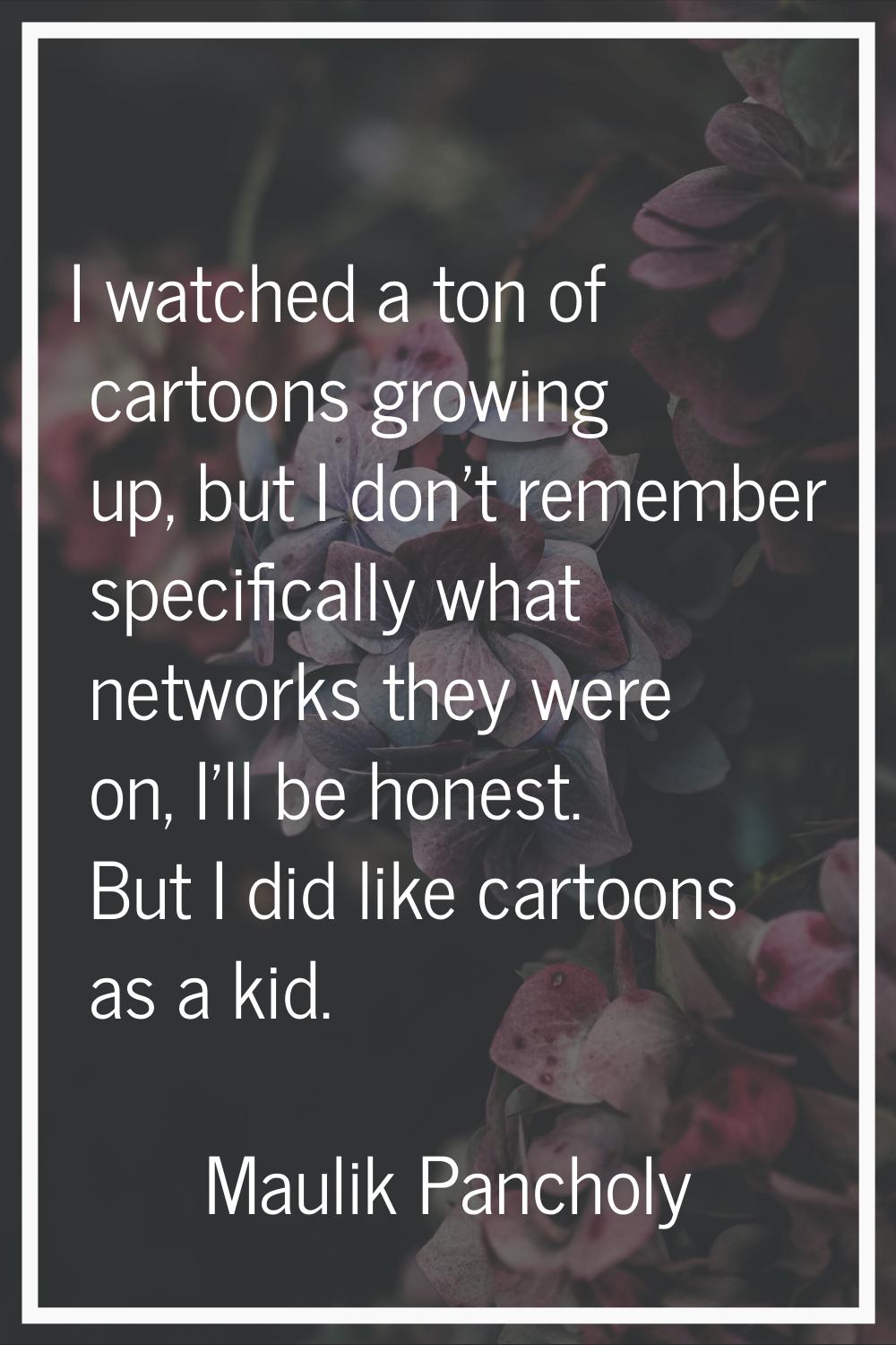 I watched a ton of cartoons growing up, but I don't remember specifically what networks they were o