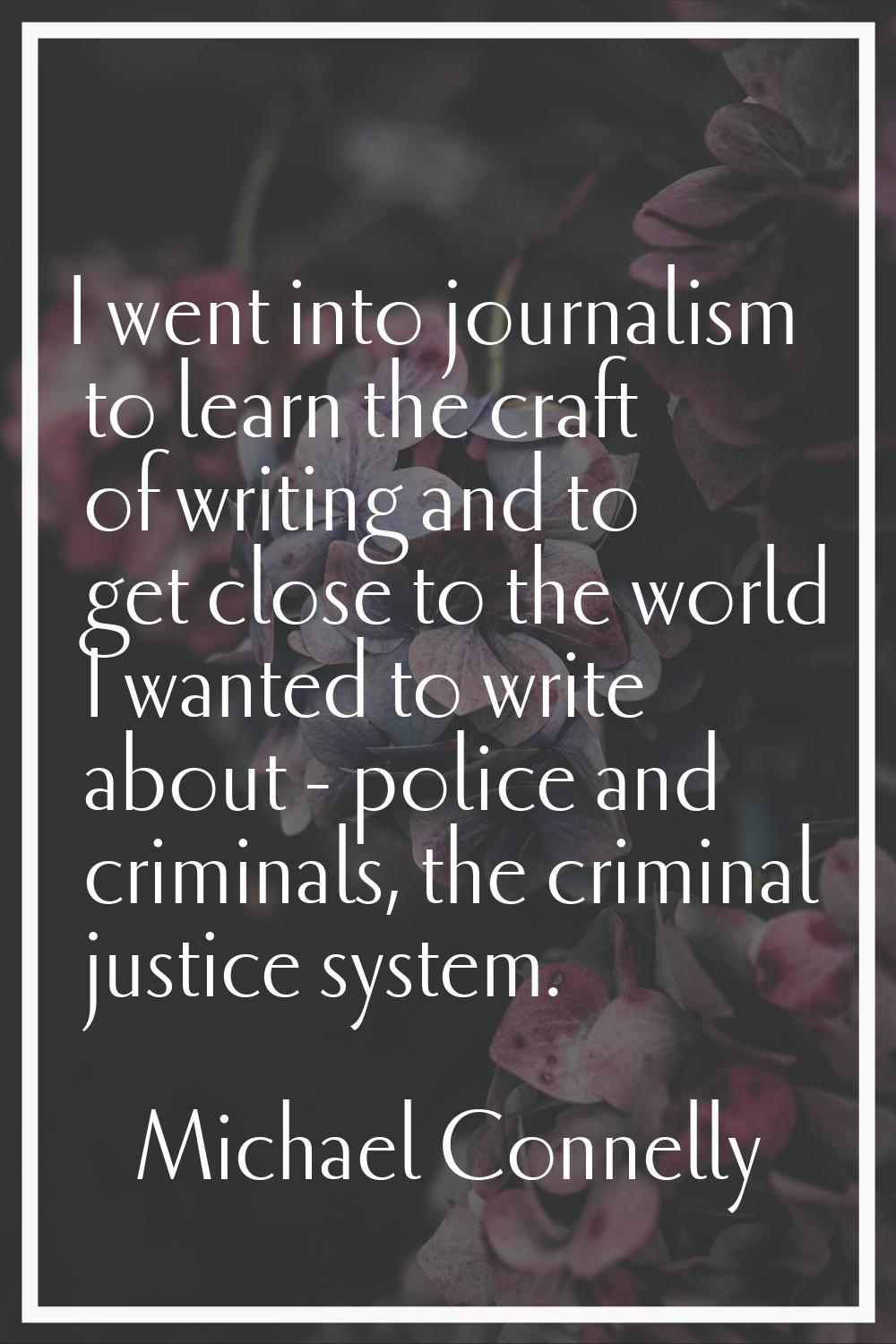 I went into journalism to learn the craft of writing and to get close to the world I wanted to writ