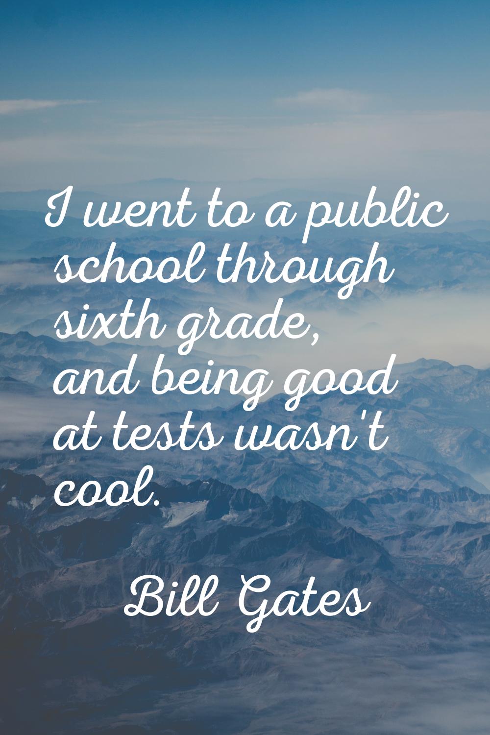 I went to a public school through sixth grade, and being good at tests wasn't cool.
