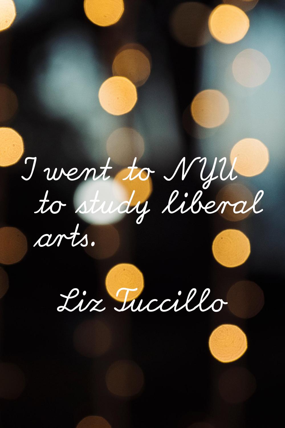 I went to NYU to study liberal arts.