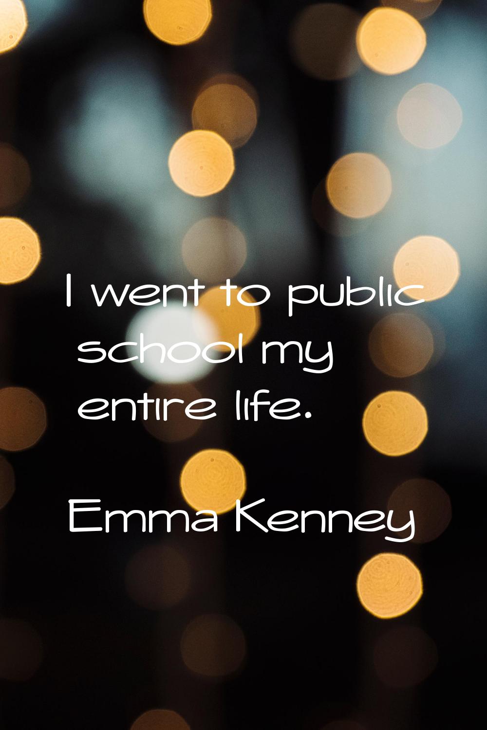 I went to public school my entire life.