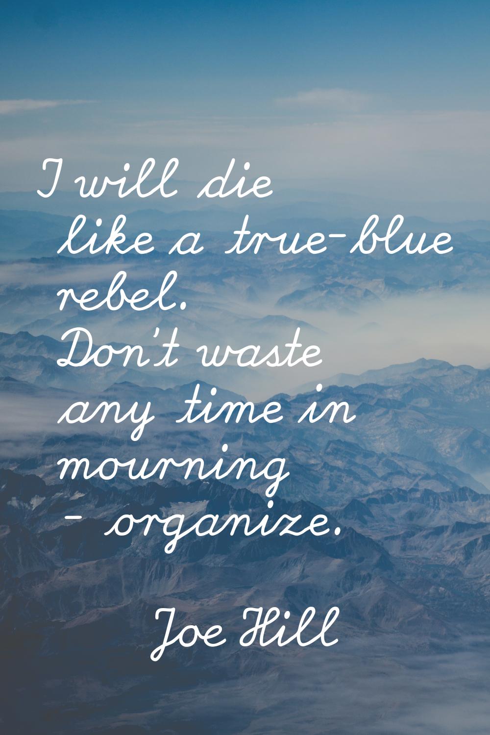 I will die like a true-blue rebel. Don't waste any time in mourning - organize.