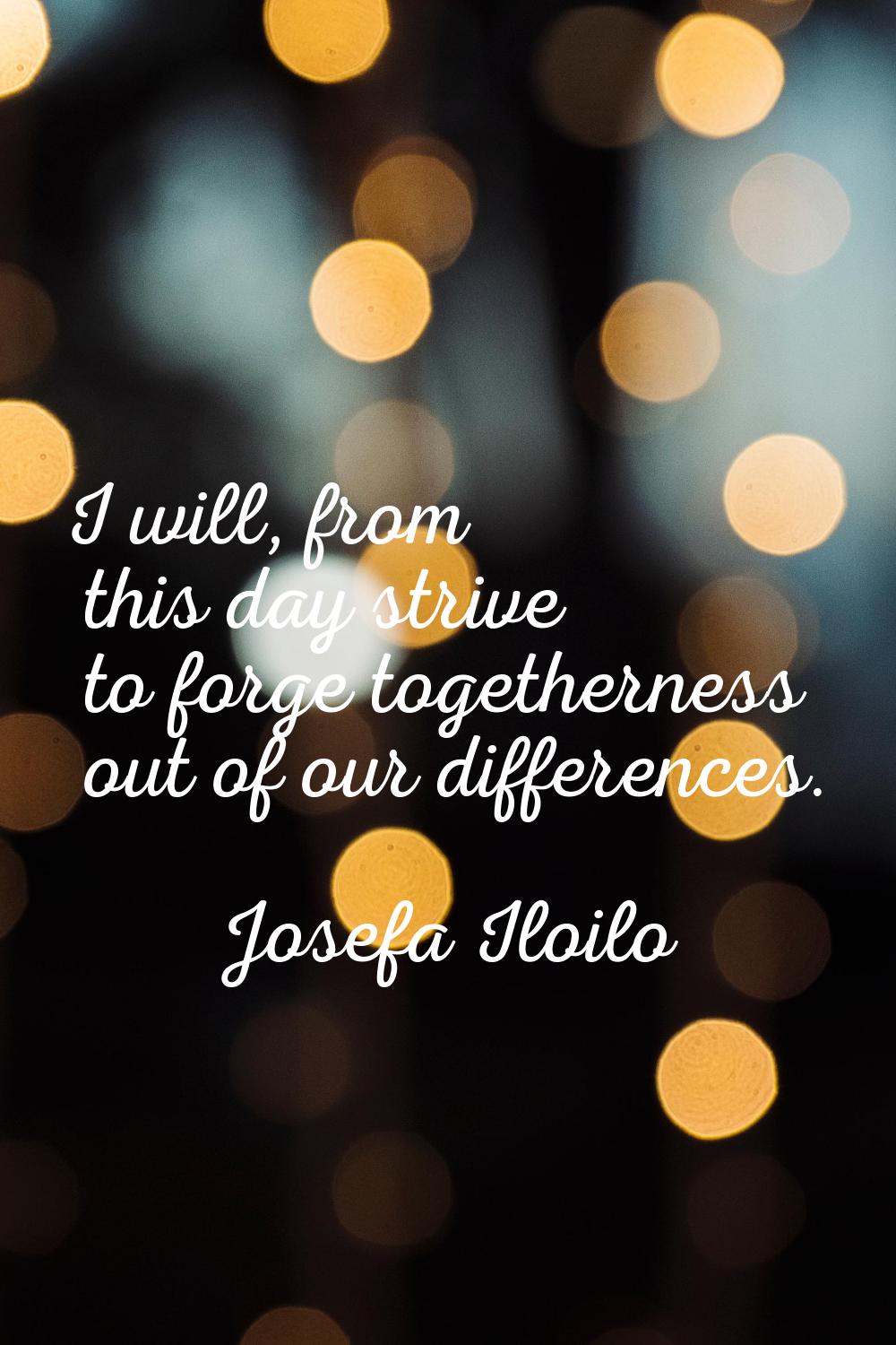 I will, from this day strive to forge togetherness out of our differences.