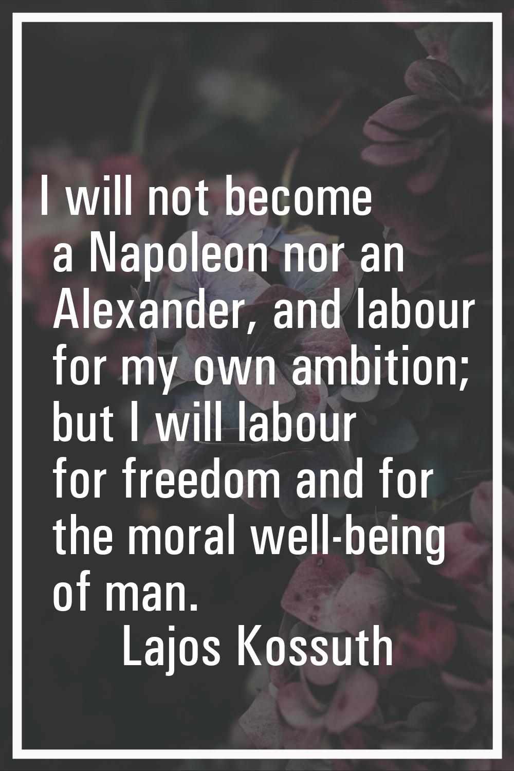 I will not become a Napoleon nor an Alexander, and labour for my own ambition; but I will labour fo