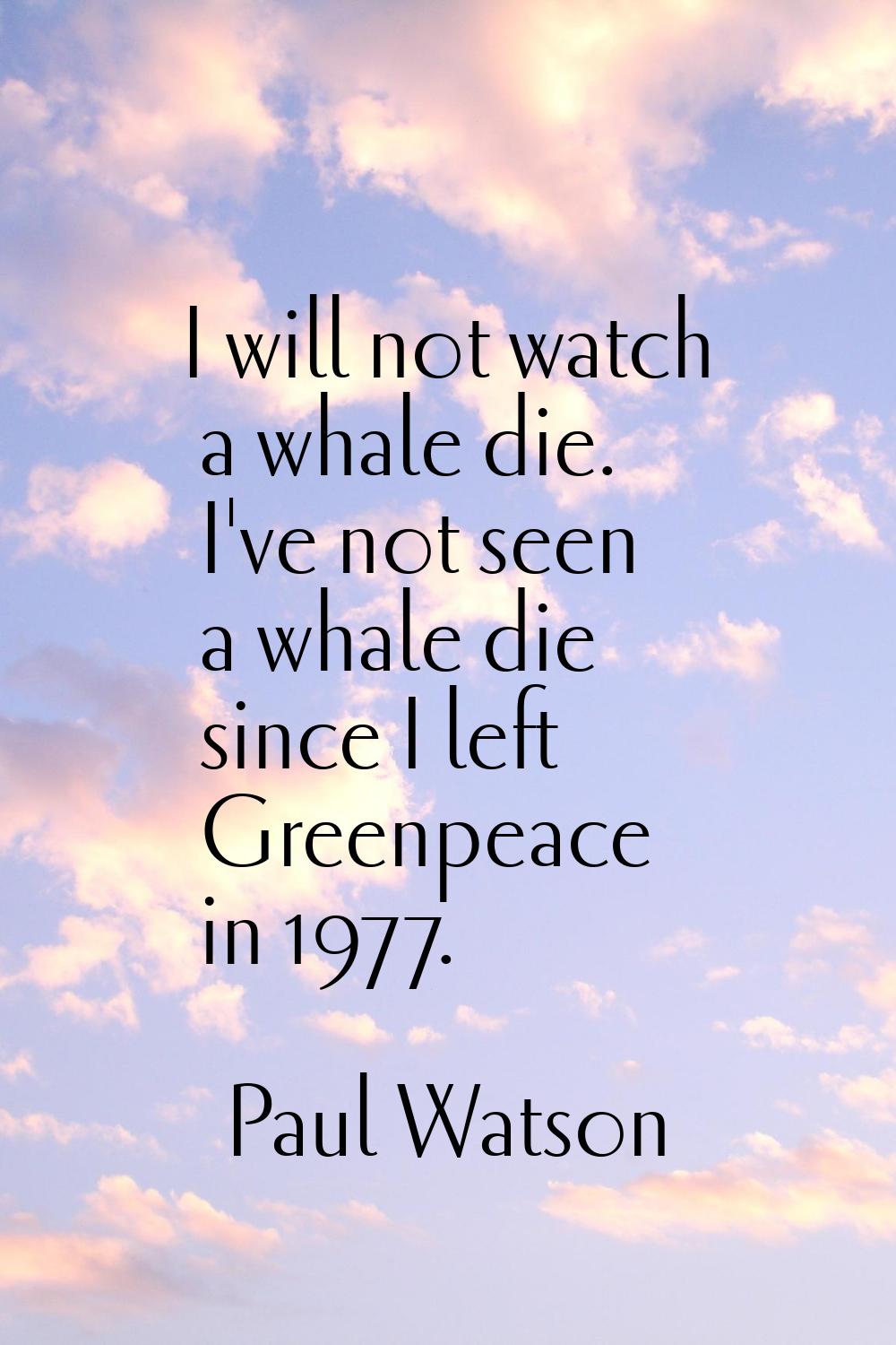 I will not watch a whale die. I've not seen a whale die since I left Greenpeace in 1977.