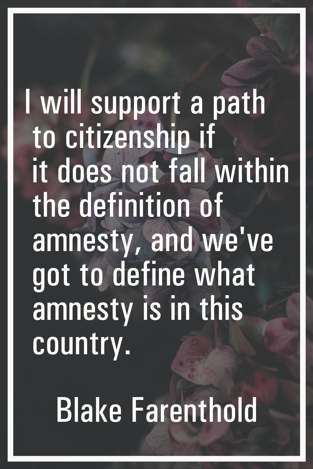 I will support a path to citizenship if it does not fall within the definition of amnesty, and we'v