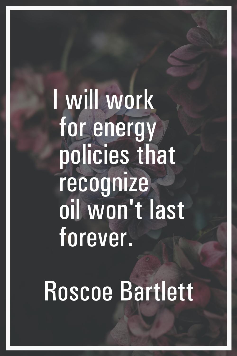 I will work for energy policies that recognize oil won't last forever.