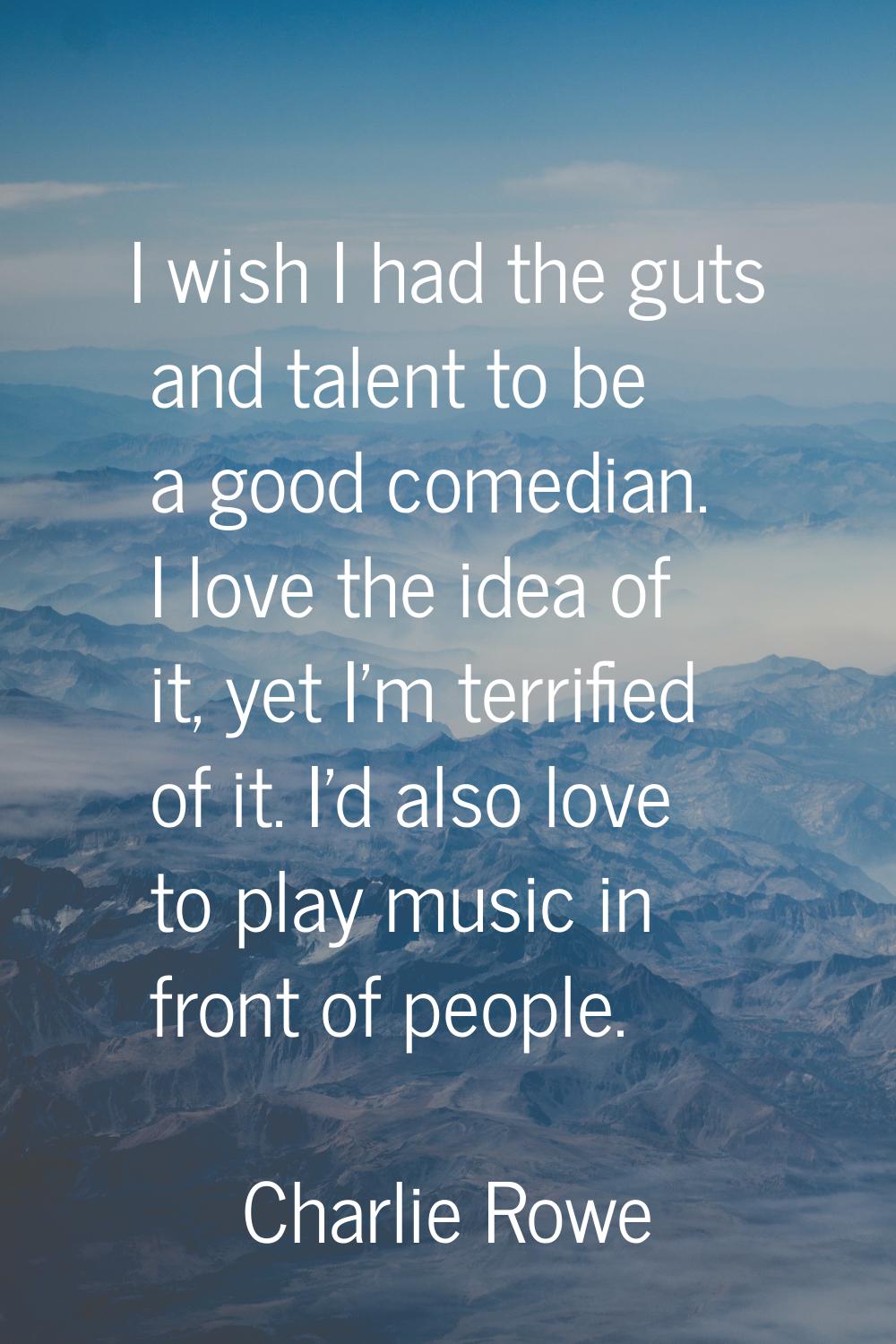 I wish I had the guts and talent to be a good comedian. I love the idea of it, yet I'm terrified of