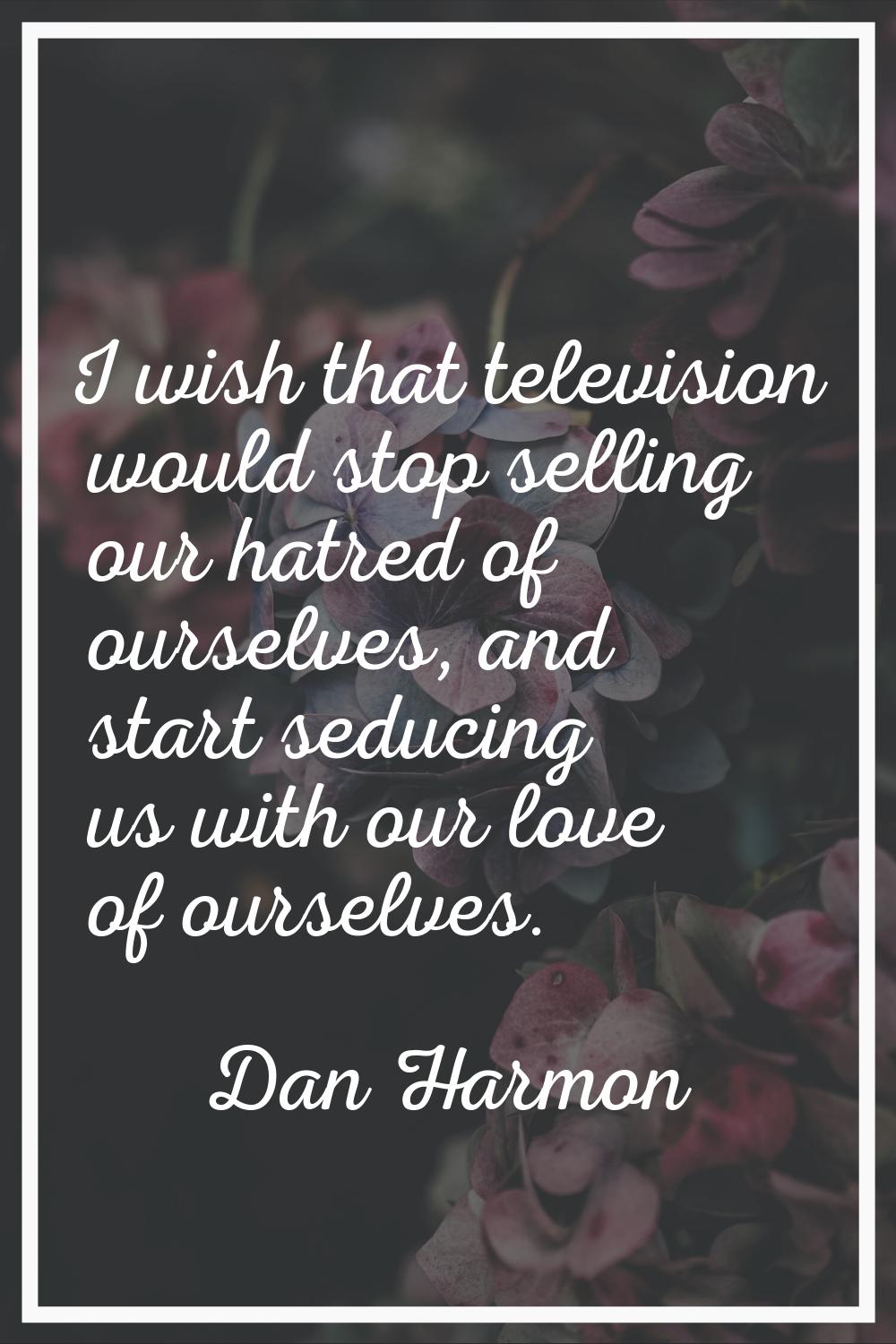 I wish that television would stop selling our hatred of ourselves, and start seducing us with our l