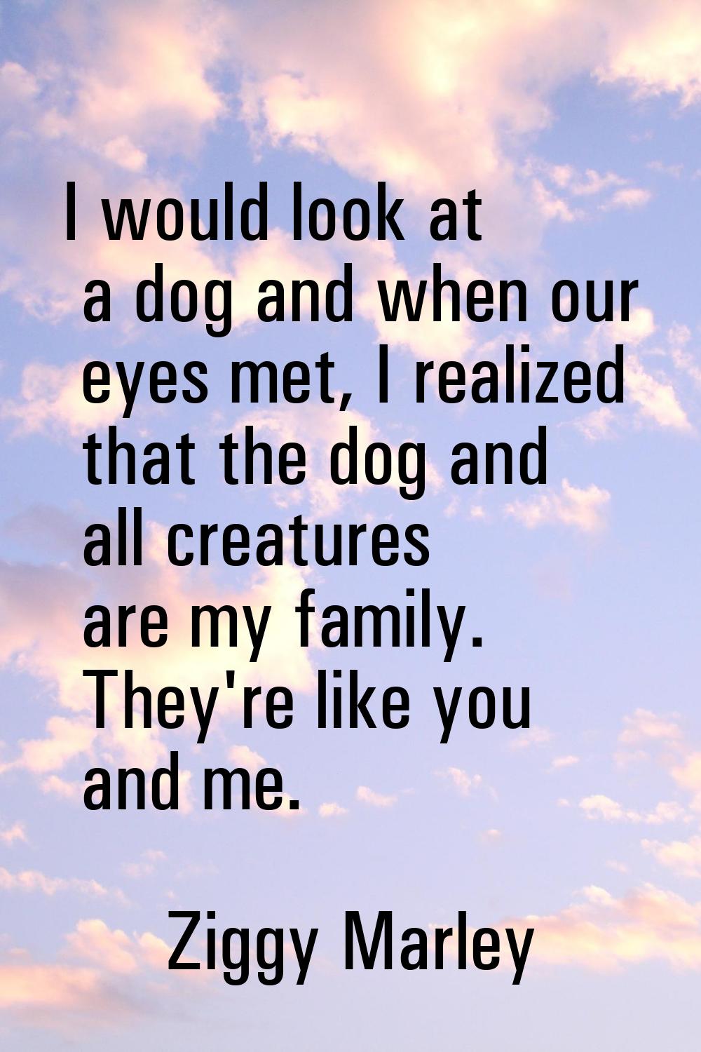 I would look at a dog and when our eyes met, I realized that the dog and all creatures are my famil