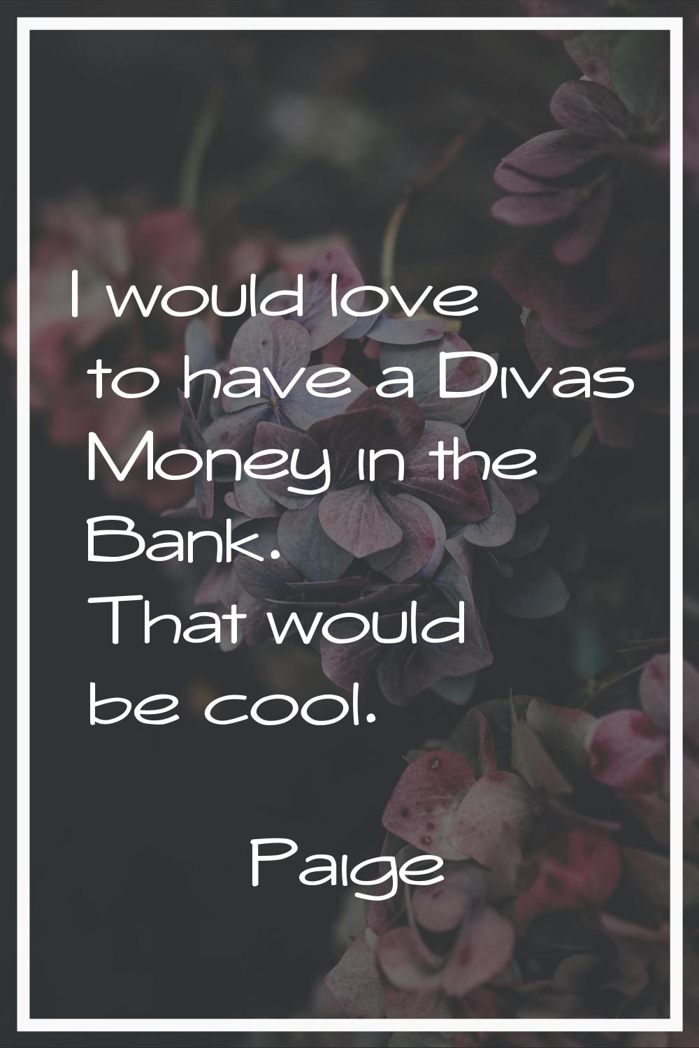 I would love to have a Divas Money in the Bank. That would be cool.