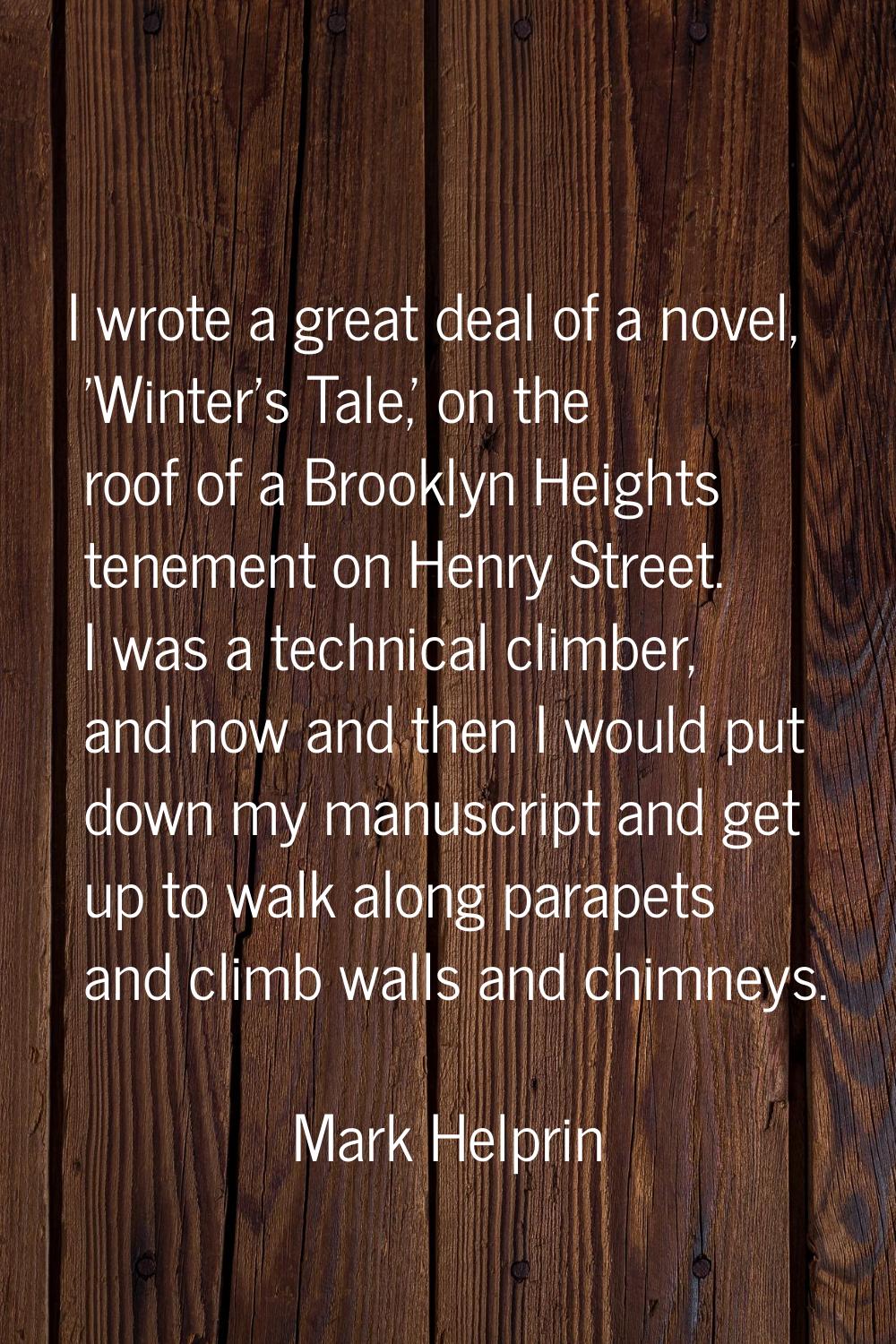 I wrote a great deal of a novel, 'Winter's Tale,' on the roof of a Brooklyn Heights tenement on Hen