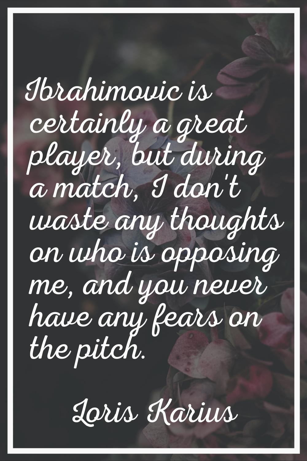 Ibrahimovic is certainly a great player, but during a match, I don't waste any thoughts on who is o