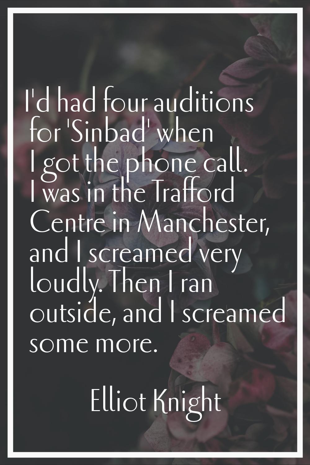 I'd had four auditions for 'Sinbad' when I got the phone call. I was in the Trafford Centre in Manc