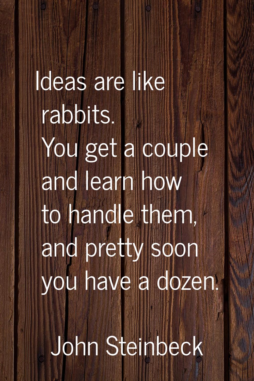 Ideas are like rabbits. You get a couple and learn how to handle them, and pretty soon you have a d