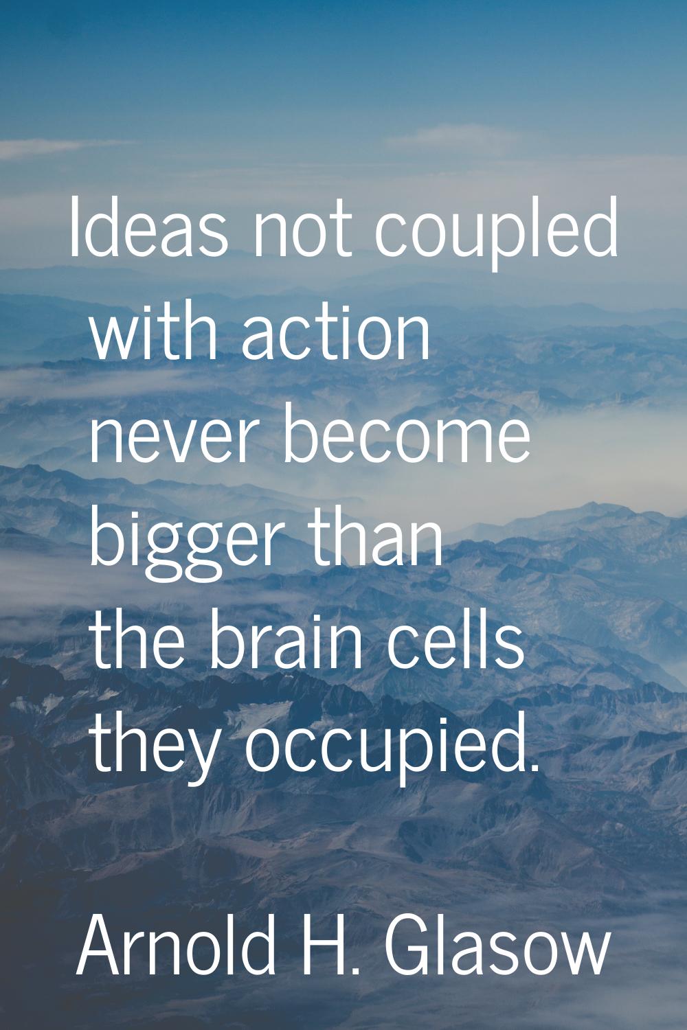 Ideas not coupled with action never become bigger than the brain cells they occupied.