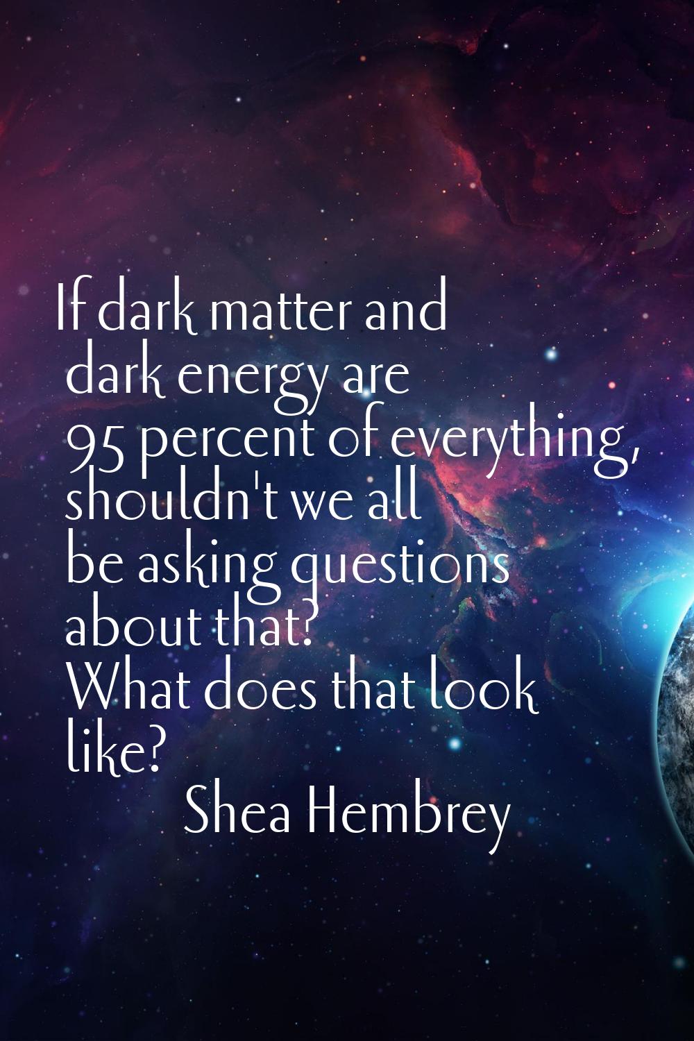 If dark matter and dark energy are 95 percent of everything, shouldn't we all be asking questions a