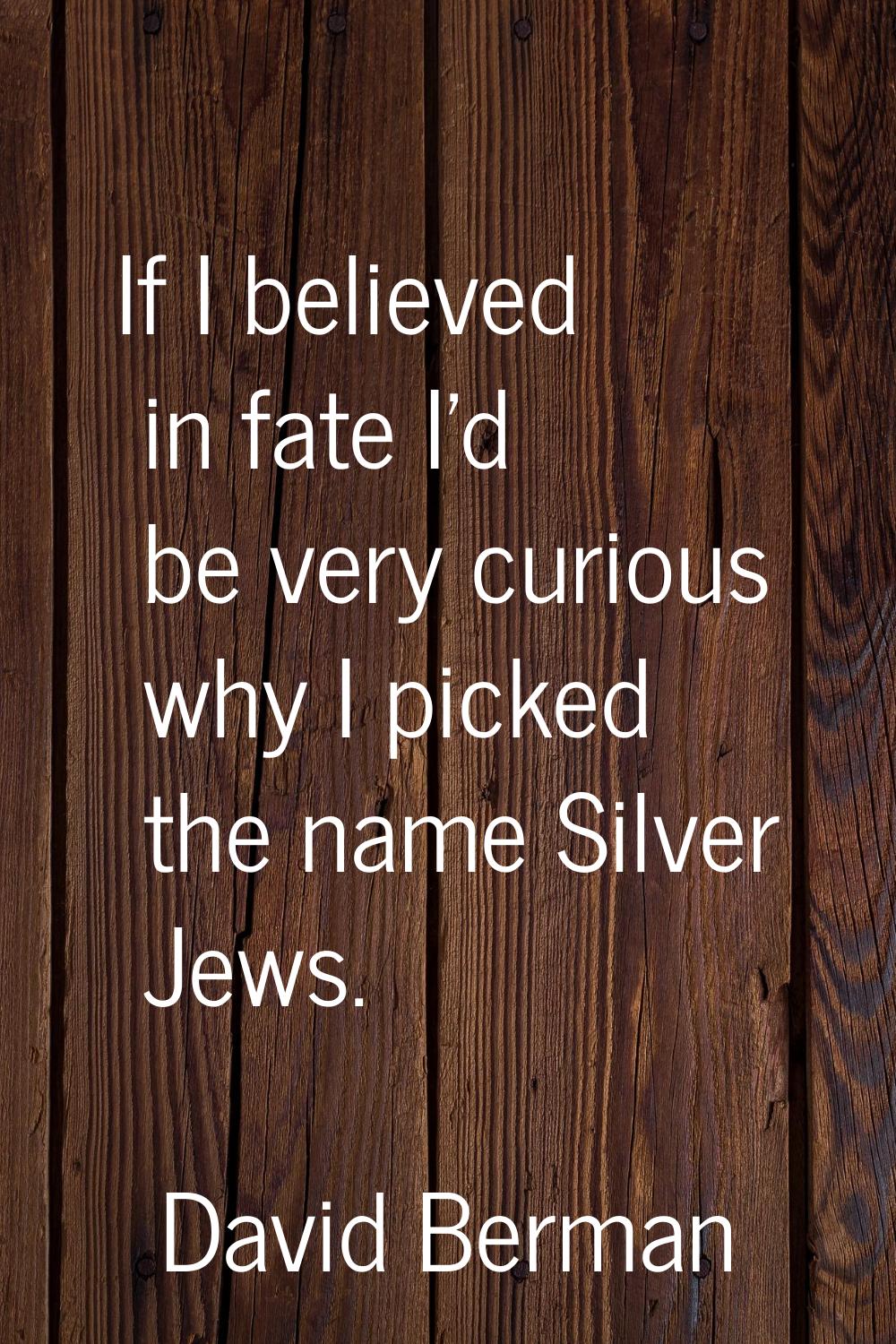 If I believed in fate I'd be very curious why I picked the name Silver Jews.