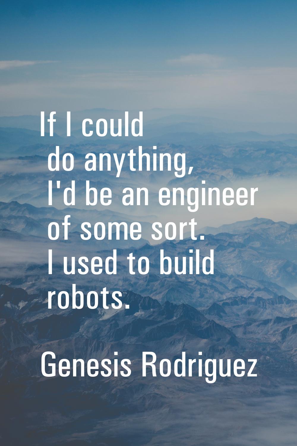 If I could do anything, I'd be an engineer of some sort. I used to build robots.