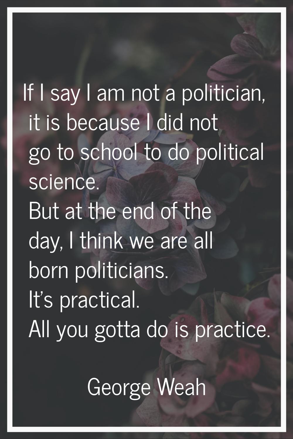 If I say I am not a politician, it is because I did not go to school to do political science. But a