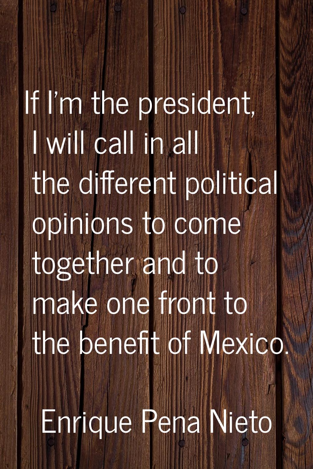 If I'm the president, I will call in all the different political opinions to come together and to m