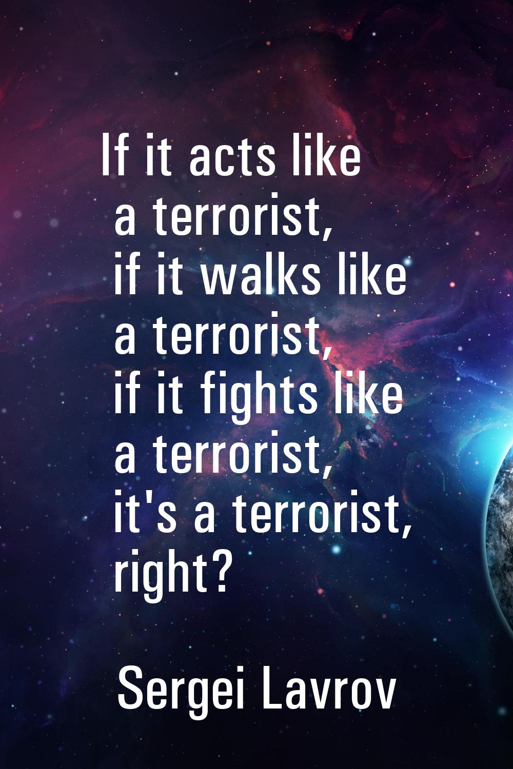 If it acts like a terrorist, if it walks like a terrorist, if it fights like a terrorist, it's a te
