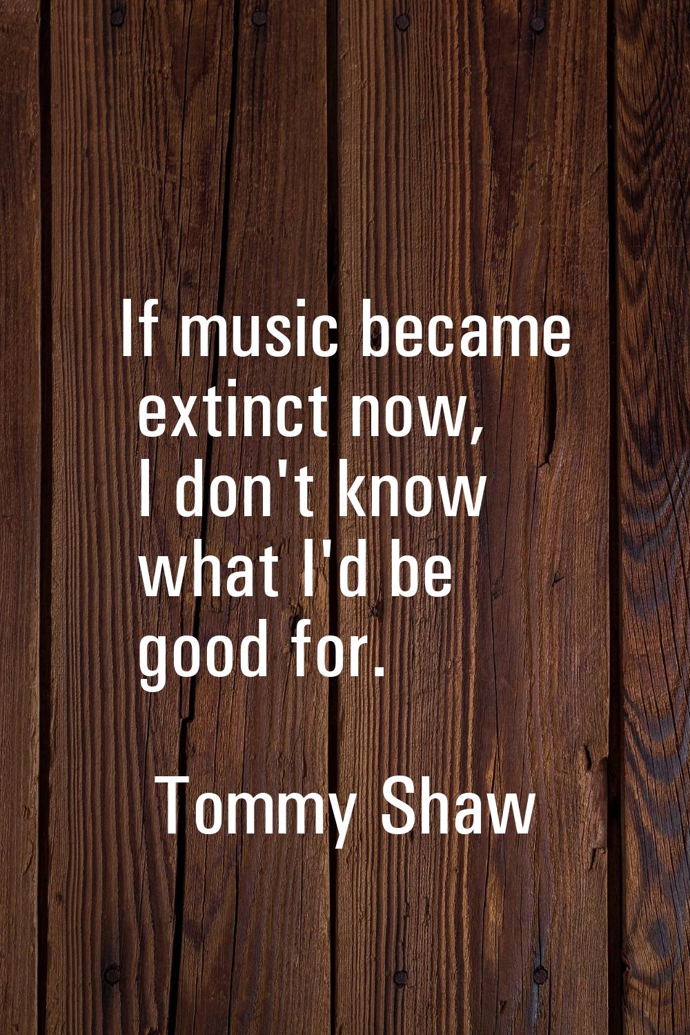 If music became extinct now, I don't know what I'd be good for.