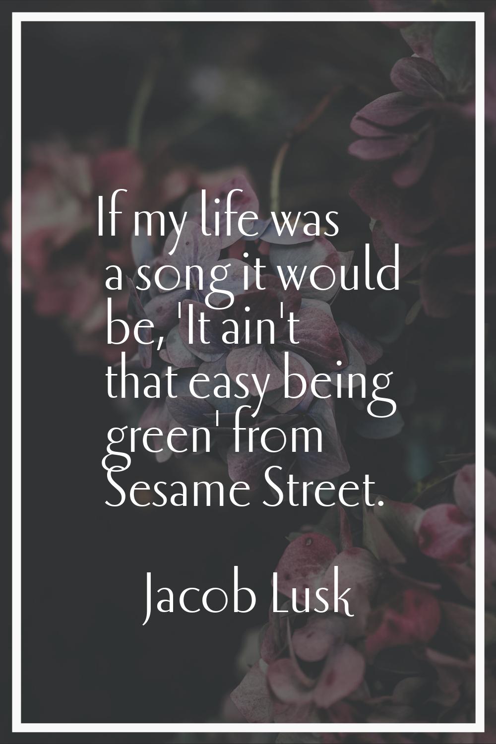 If my life was a song it would be, 'It ain't that easy being green' from Sesame Street.