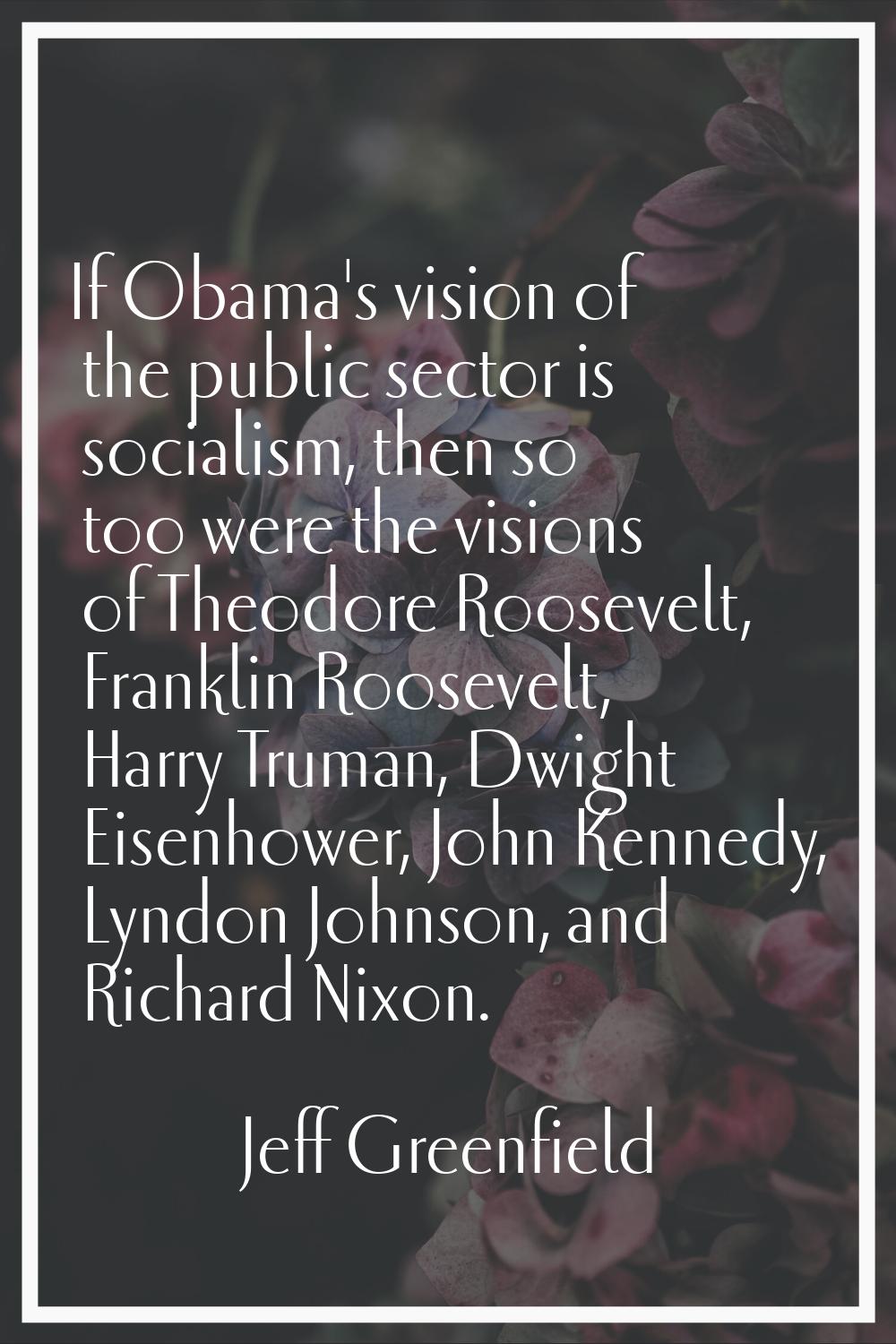 If Obama's vision of the public sector is socialism, then so too were the visions of Theodore Roose