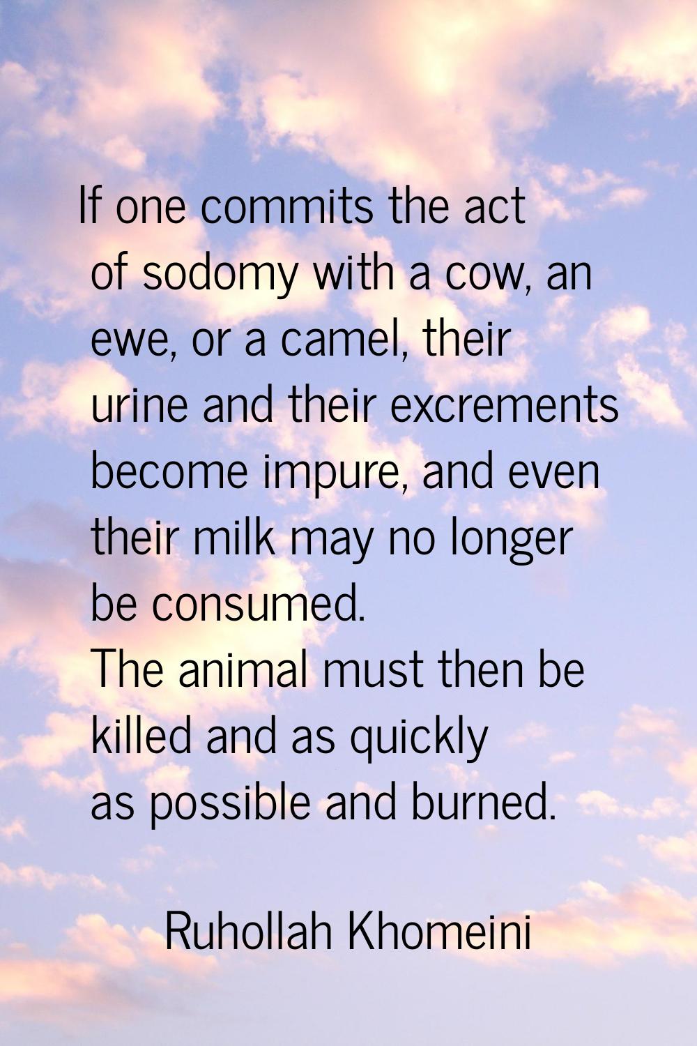If one commits the act of sodomy with a cow, an ewe, or a camel, their urine and their excrements b