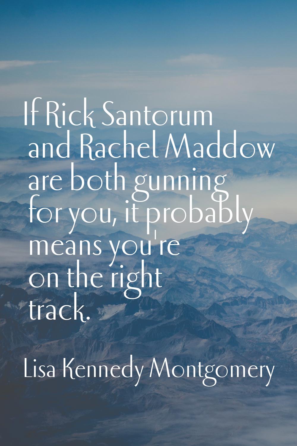If Rick Santorum and Rachel Maddow are both gunning for you, it probably means you're on the right 