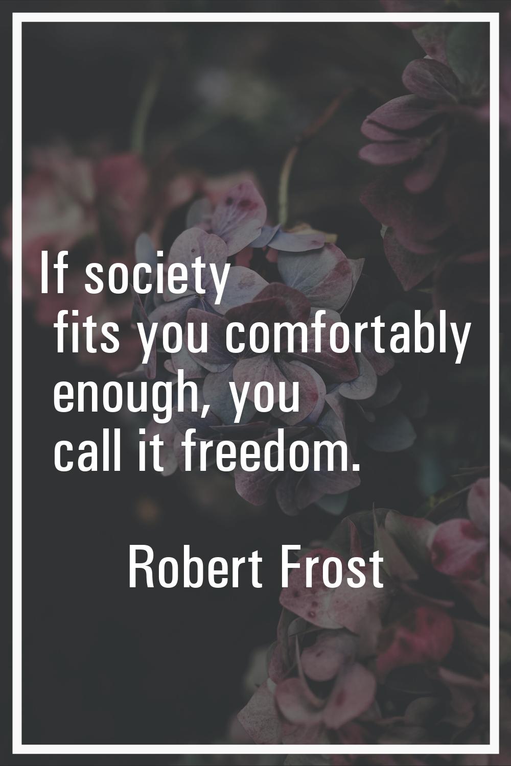 If society fits you comfortably enough, you call it freedom.