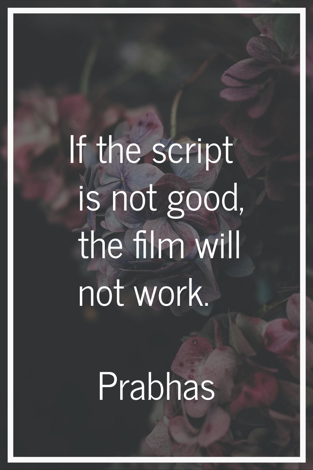 If the script is not good, the film will not work.