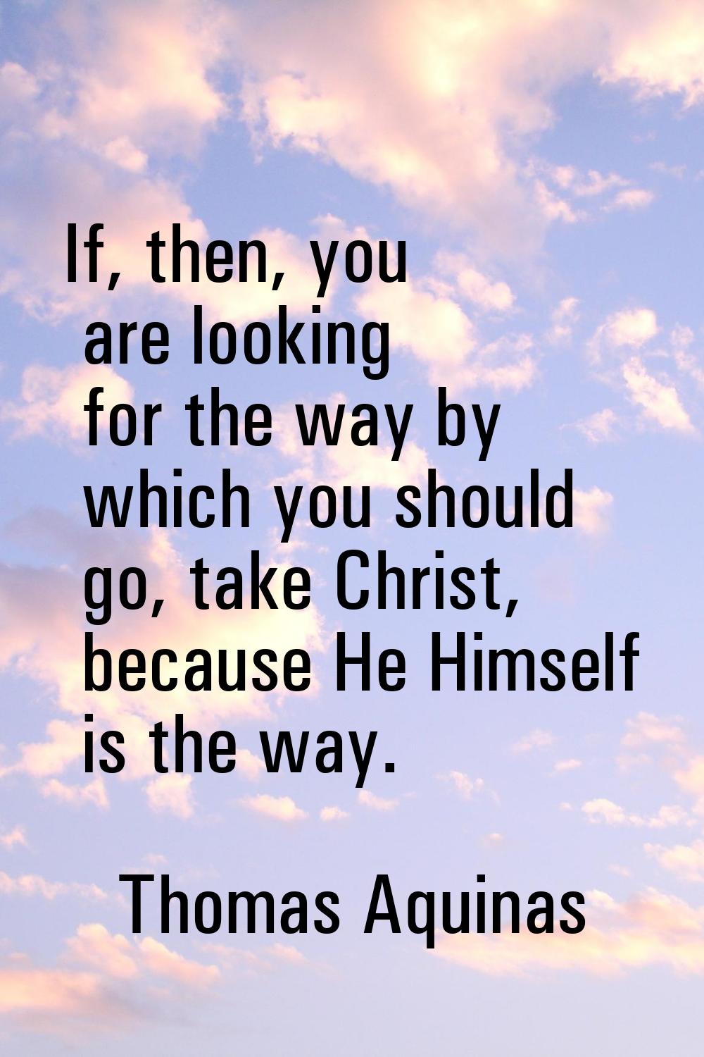 If, then, you are looking for the way by which you should go, take Christ, because He Himself is th
