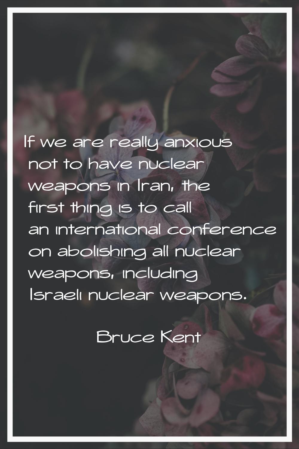 If we are really anxious not to have nuclear weapons in Iran, the first thing is to call an interna